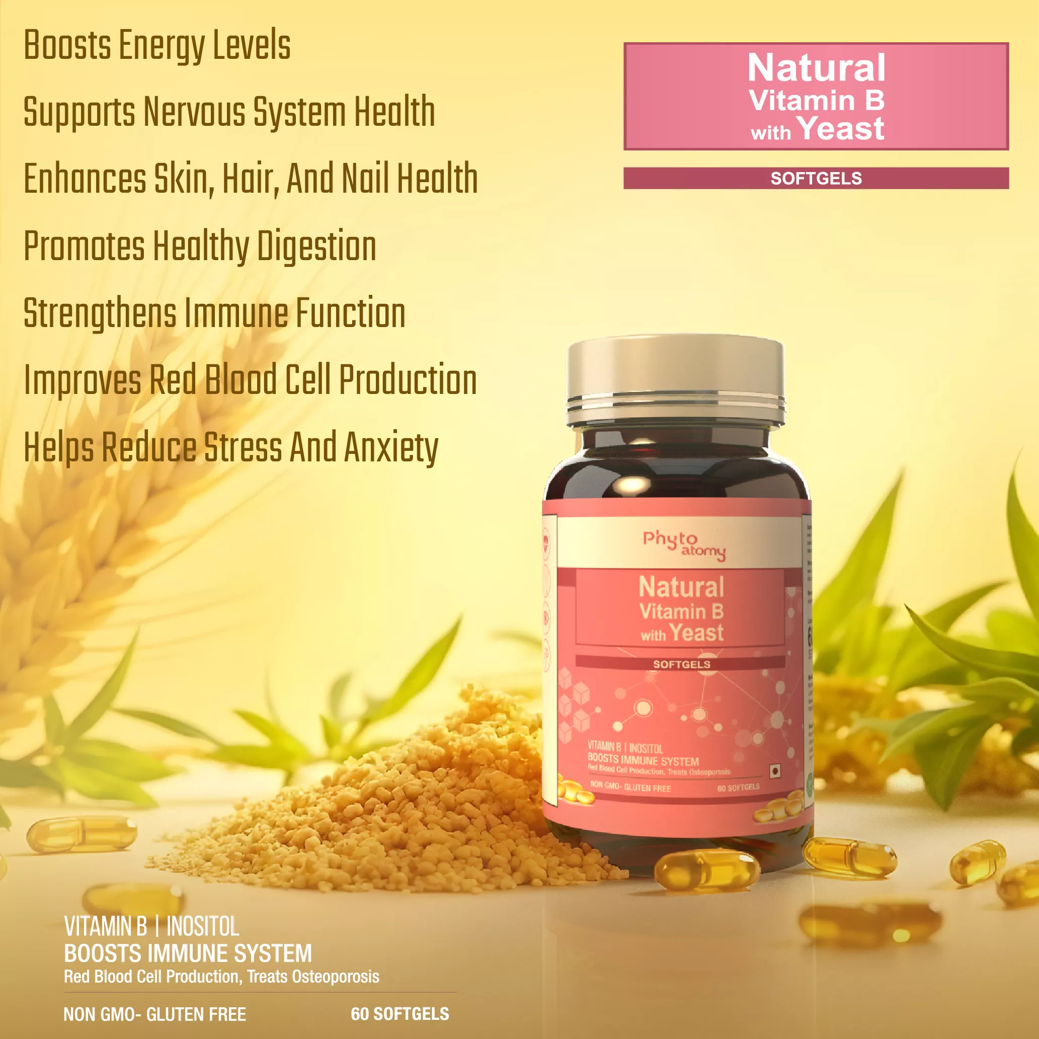 Natural Vitamin B 12 Softgel Capsule (60 Capsule ) (HS00573)